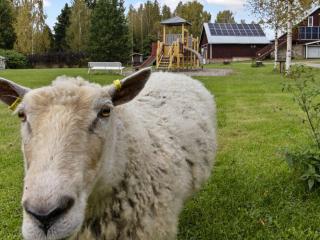 Holiday Home Vidnäs 6 by Interhome - Lusi - 6