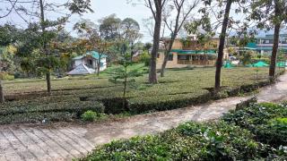 Royal Green Buds - Near Chamunda Devi Temple - 7