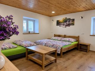 Vila Loučovice - 1