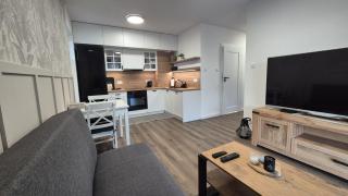 Apartament u Milana - 1