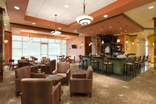 Embassy Suites by Hilton Dallas Frisco Hotel & Convention Center - 4