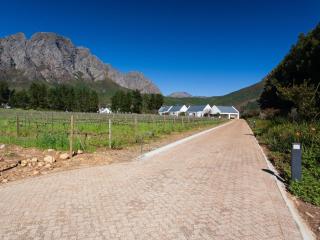 Chambray Estate - The Terraces in the Vines - 7