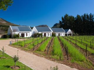 Chambray Estate - The Terraces in the Vines - 6
