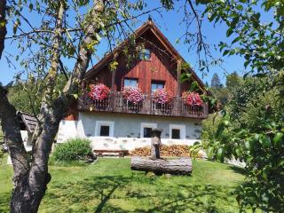 Ferienhaus "Zur alten Schmiede" - 0