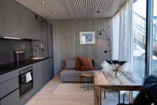 Modern apartment in Henningsvær - 9