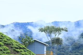 Mukiza Gorilla Lodge - 0