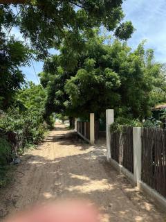 Casa Verde Coco Guajiru - 8