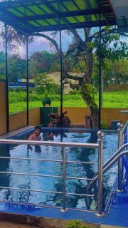 NIYARA Homestay - 0