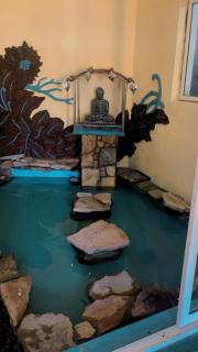 NIYARA Homestay - 1