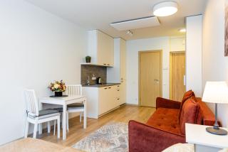 Apartment VĖSA studio - K8 - 8