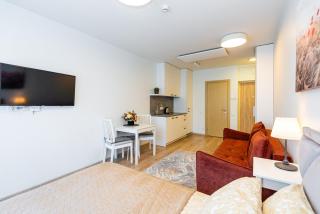 Apartment VĖSA studio - K8 - 3