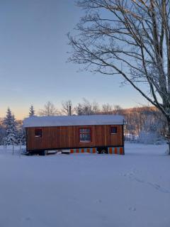 Benno der Wagen - kreativ gestaltetes Tiny House AM WALDRAND Nahezu Alleinlage Rennsteig Grünes Band NATUR PUR Hund willkommen - 6