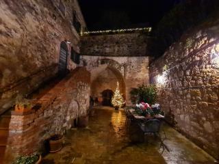 La Terrazza, Cetona, Toscana - 2