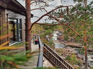 Dyttholknatten - 7