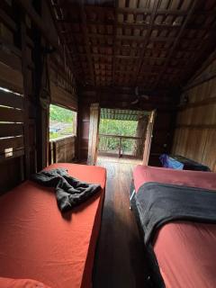 Eco Hostel Dona Helo - Algodoal - 0