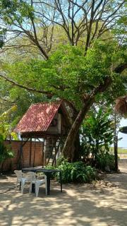 Eco Hostel Dona Helo - Algodoal - 7