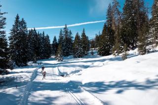 Family Apartment near Lenzerheide Ski-in & Fireplace - 6