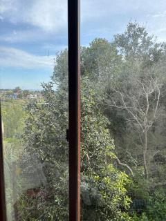 Chispa Divina - 3