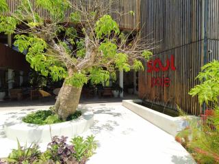 Curated Apartments in The Soul Paje by KSN - 6