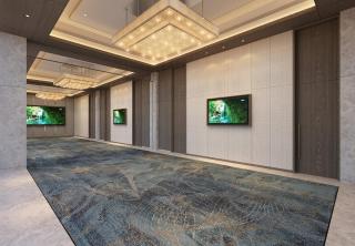 Crowne Plaza Kathmandu Pulchowk by IHG - 3