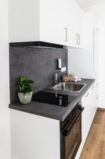 Infinity Home Haus im Ennstal - 7