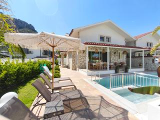 Dalyan Villa Tio - 9
