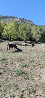 La ca' del Siò - 2