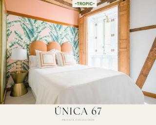 TROPIC by Unica67, diseño junto a la Catedral - 9