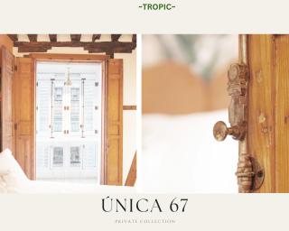 TROPIC by Unica67, diseño junto a la Catedral - 2