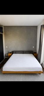 Luxury penthouse with terrace - 1