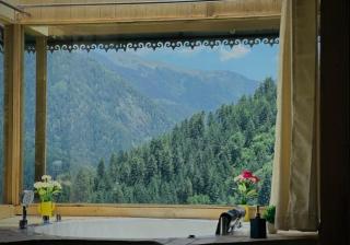 Walnut Jacuzzi Treehouse Tandi - 7
