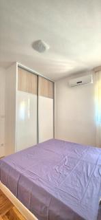 PriSMi - 1