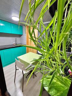 AMY HOME-3 bedroom house- private, quiet with garden in central Da Nang city - 8