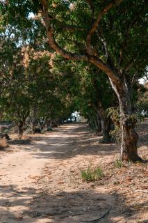 Camping at Kanaan - 5