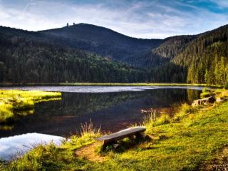 Schoenes 1 Zimmer - Sauna - Schwimmbad - Free Parking - 5