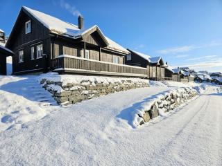 Flott hytte i Elgtrakket 9, 3864 Rauland Skisenter - Holtardalen - 9