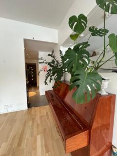 Spacious 1 bedroom apartment with sauna - 6