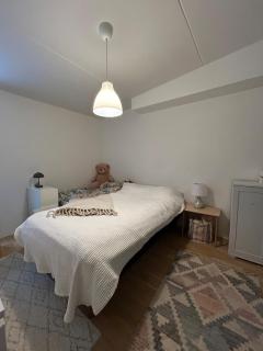 Spacious 1 bedroom apartment with sauna - 4