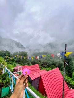 Baramas homestay chopta - 1