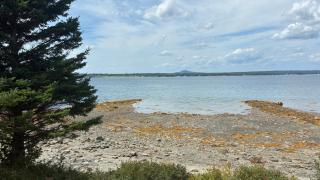 Union Bay Cottages - The Prefix - 9