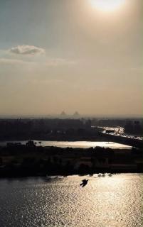 Canggu cairo exora spark - 4