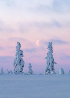Christmast Nest Rovaniemi by Elys Collection - 7