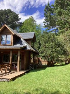 Riñinahue, Lago ranco - 8