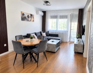 Apartment VIP - 9