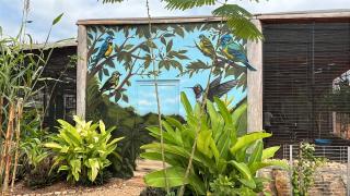 Safi Kwanza Resort - 0