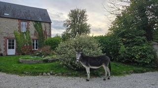 Gite de la Cour Vautier - 7