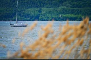 Capitaine 38 Piscine & Spa, L'Isle-Aux-Coudres - Capitaine 38 Piscine & Spa, L'Isle-Aux-Coudres - 9