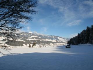 Oase von Ruhe - 4
