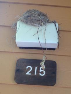 3-bedroom Condo near Lake,Hyatt,Diamond Peak - 9
