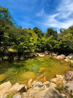 Conexión naturaleza - 9